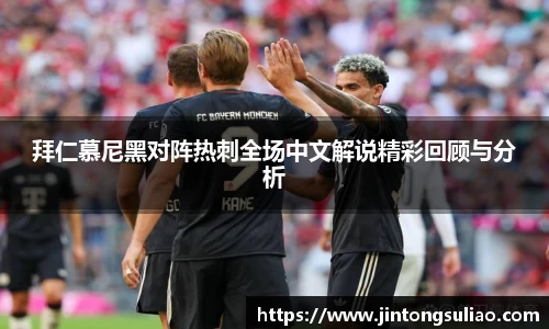 拜仁慕尼黑对阵热刺全场中文解说精彩回顾与分析