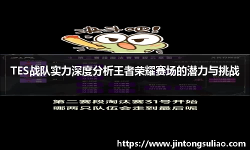 TES战队实力深度分析王者荣耀赛场的潜力与挑战