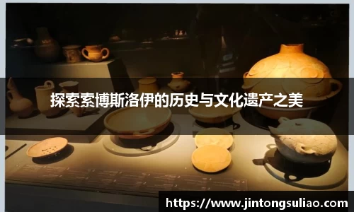 探索索博斯洛伊的历史与文化遗产之美
